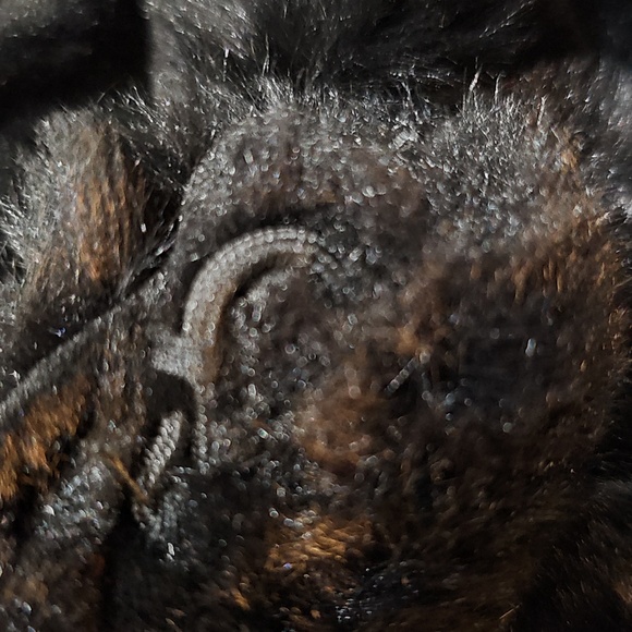 Jacket - Picture 11 of 16